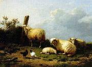 unknow artist Sheep 070 oil painting picture wholesale
